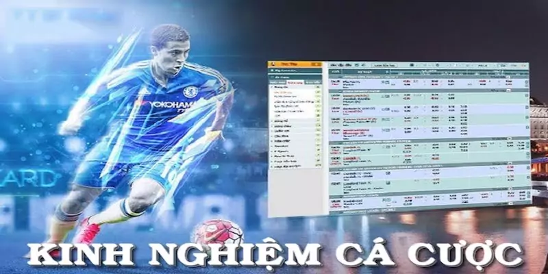 Kinh nghiệm cần biết khi áp dụng kèo ½
