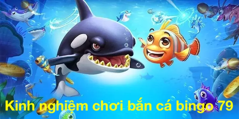 Kinh nghiệm chơi bắn cá bingo 79