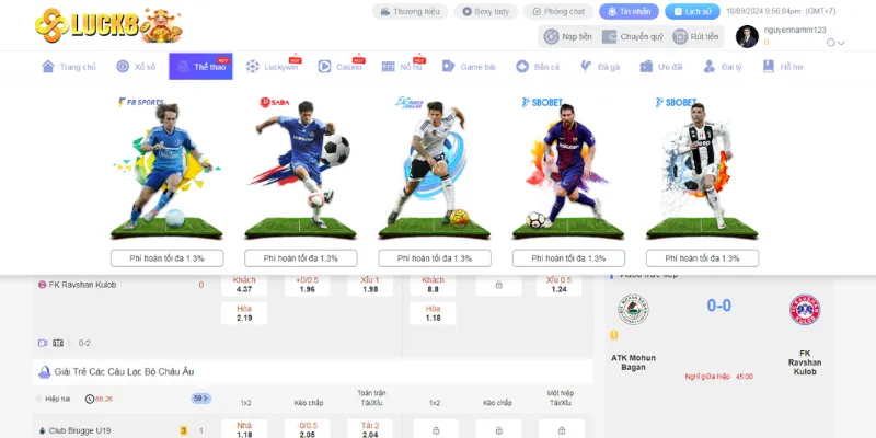 Thể loại cá cược thể thao được săn đón tại Luck8